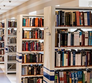 Library Shelves