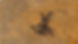 Screws in the ground