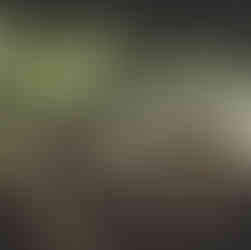 Aérer régulièrement l'espace de culture