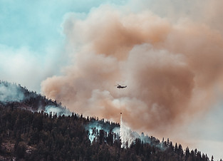 Wildfire 