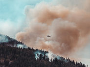 El Instituto de la Ingeniería pide un cambio en las políticas forestales para prevenir incendios