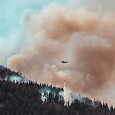 Wildfire 