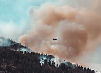Wildfire 