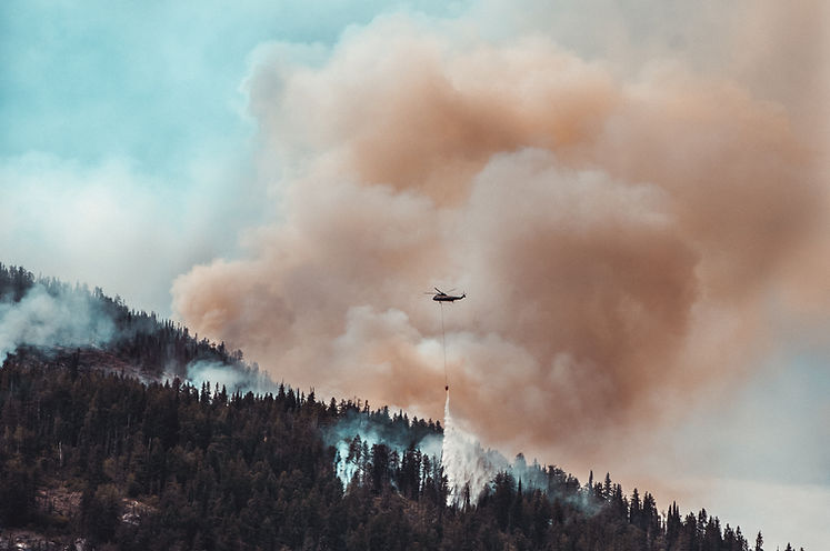 Wildfire