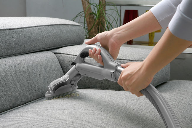 Close-up view of a professional cleaning a sofa
