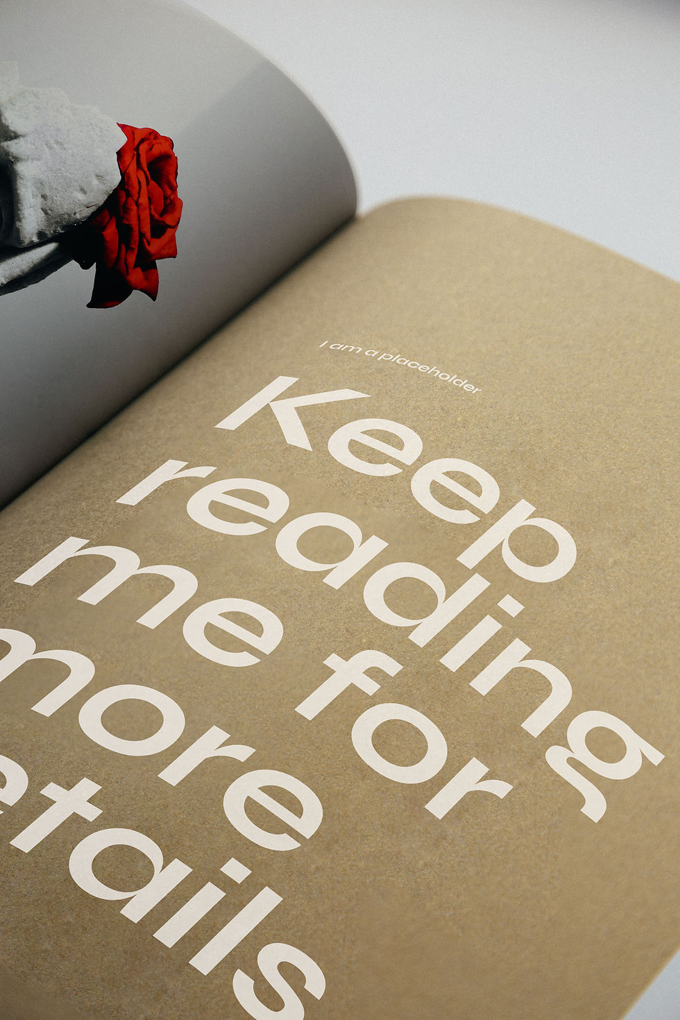 Open Book Page