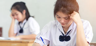 High School Student