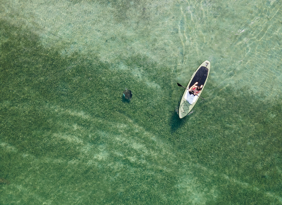 Water Sport