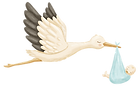 Stork Carrying Baby