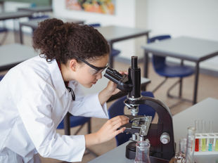 A Complete Guide to LAUSD Choices Programs! 