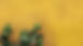 Cactus on Yellow Wall