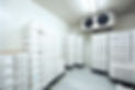 Interior view of a cold room with products stored inside