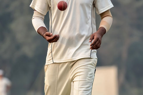 Cricket Bowler