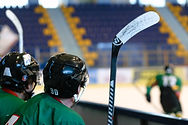 Roller Hockey Players