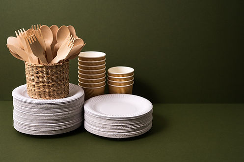 Disposable Tableware