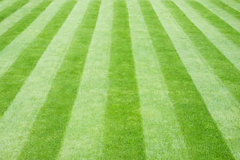 Perfectly striped freshly mowed garden lawn in summer