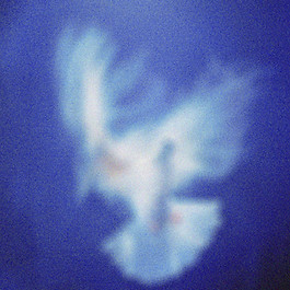 Blurry White Bird Silhouette