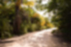 Open Road