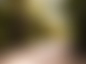 No Radar Needed: How to Face a Future without Fear