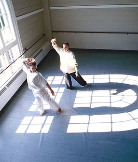 Tai Chi Practice Seen from above