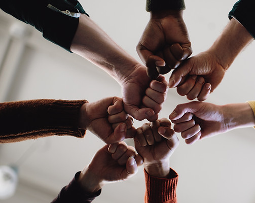 Fists in Solidarity