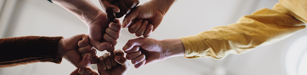 Fists in Solidarity