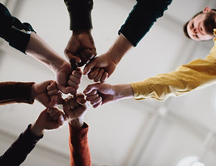 Fists in Solidarity