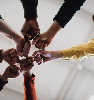Fists in Solidarity