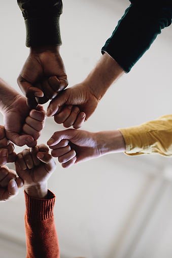 Fists in Solidarity