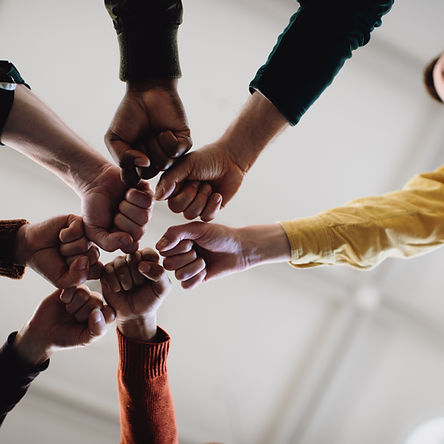 Fists in Solidarity