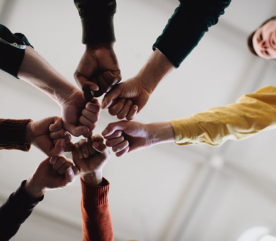 Fists in Solidarity