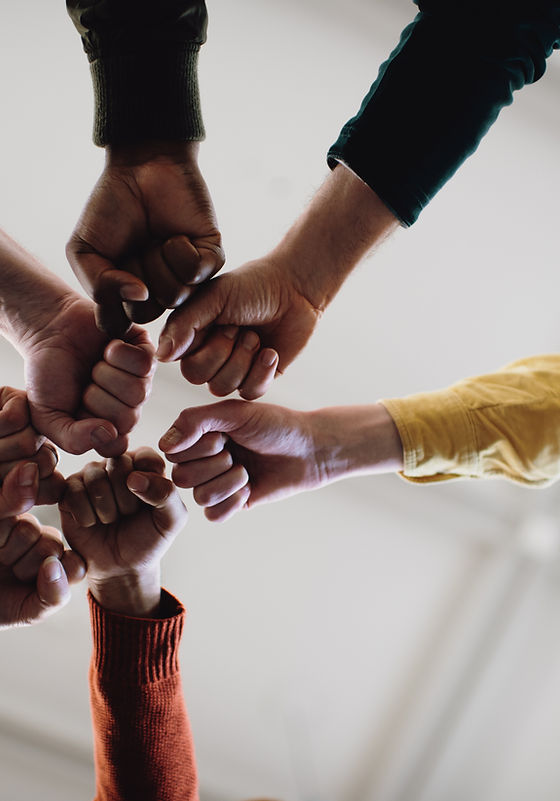 Fists in Solidarity