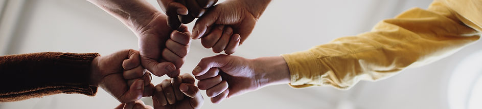 Fists in Solidarity