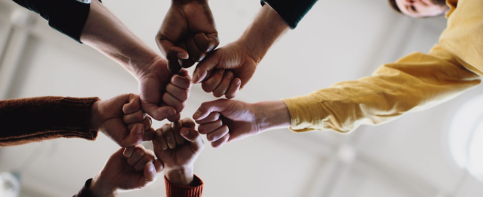 Fists in Solidarity