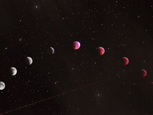 🌕 Understanding the Moon Phases: A Beginner’s Guide