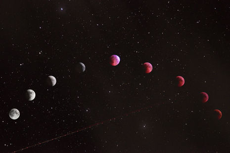 Sagittarius Full Moon: The Truth Beneath the Bones