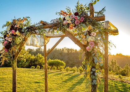 Wedding Canopy