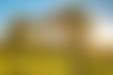 Proverbs of a 39 yr old man