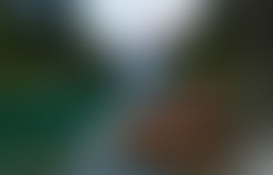 Peace – Peace that Knows God Has Heard (365/99)