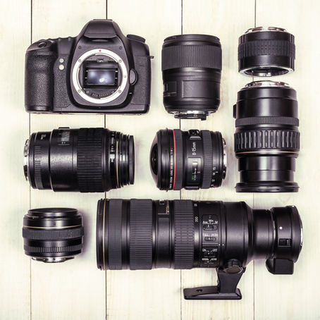 Our Guide to the Joys of Pet Photography for Dog Owners