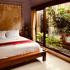 Tropical Hotel Room
