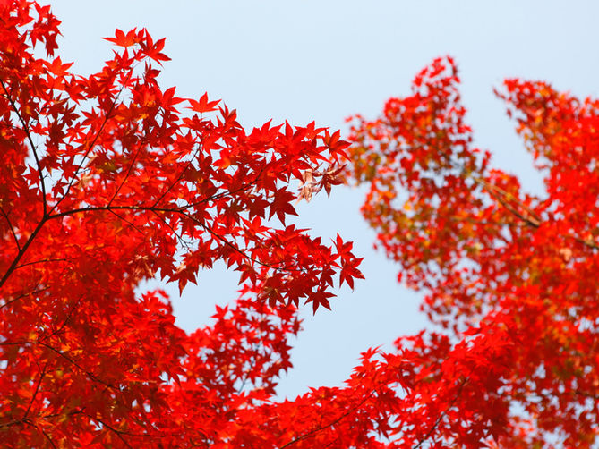 October!