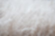 White Grass