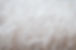 White Grass