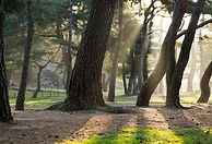 Court of Protection and deputyship legal support for families