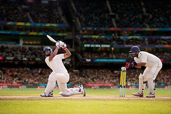 Cricket Batsman