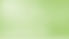 Green Background