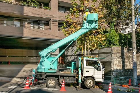 街路樹剪定作業