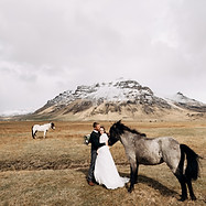 Outdoor wedding with horses