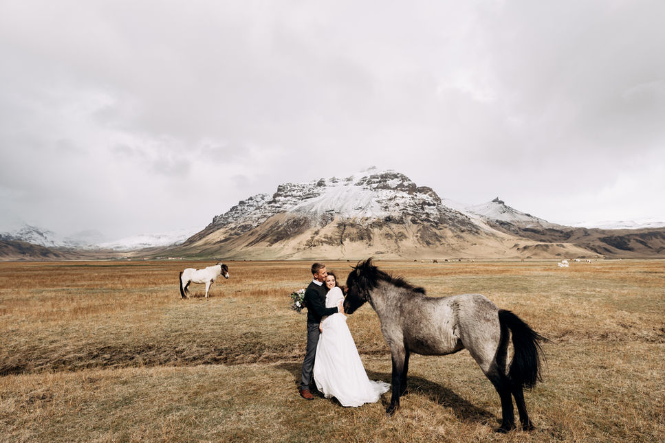 Wedding Couple with Horses
